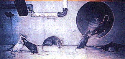 the rat mural